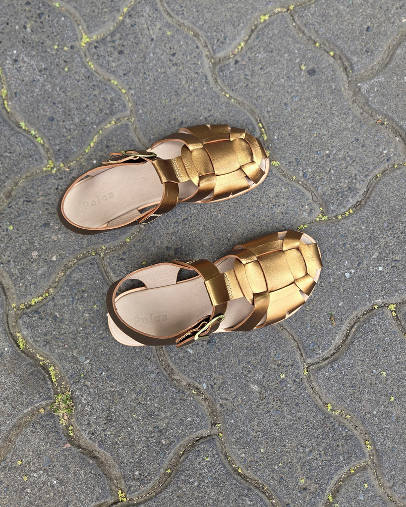 Cangrejera III Bronce